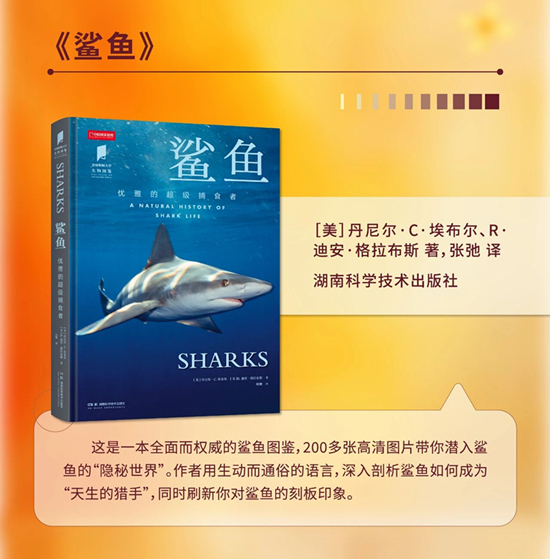 微信图片_2025-10-19_170839_517